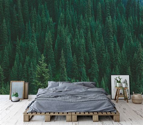 Forest Trees Peel And Stick Wallpaper at Stephanie Le blog