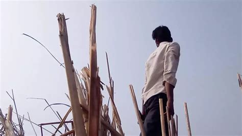 Indian Boy Sex Video Bodybuilder Big Cock Gay Porn Feat Hotboyindian By Faphouse Xhamster