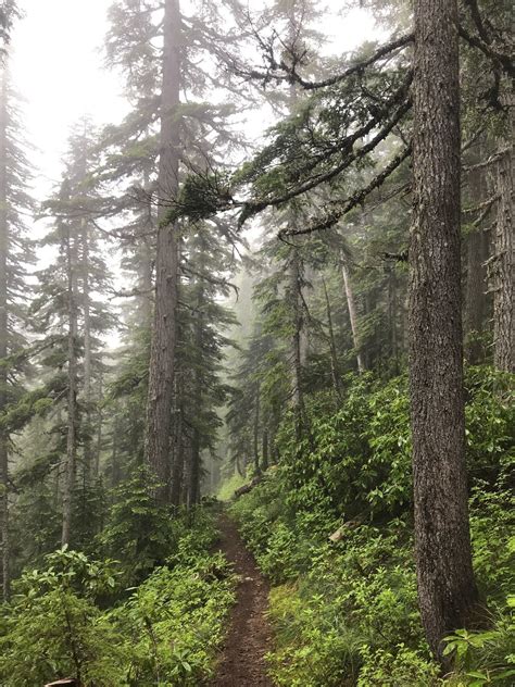 Serene Lake Trail [CLOSED] - Oregon | AllTrails