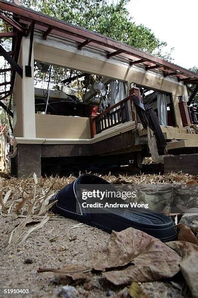 Shoe Destroying Photos and Premium High Res Pictures - Getty Images