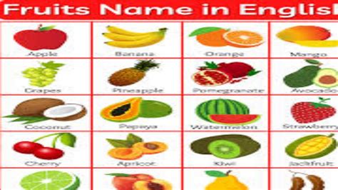 Fruits Names In English With Pictures Fruit Names In Urdu Fruits