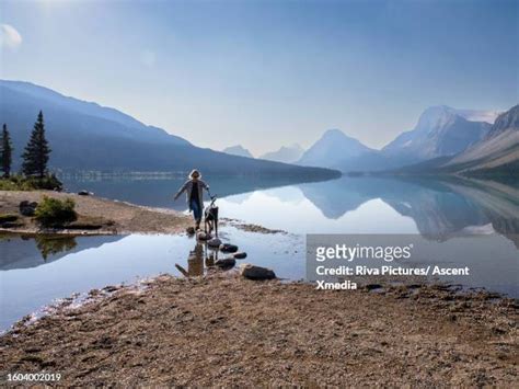 Bow River Pathway Photos and Premium High Res Pictures - Getty Images