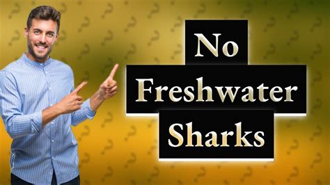 Is there fresh water sharks in NZ? - YouTube