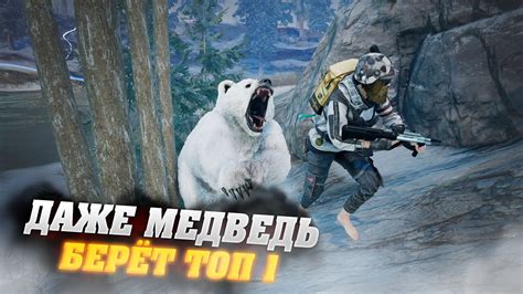 ДАЖЕ МЕДВЕДЬ БЕРЕТ ТОПЫ - YouTube