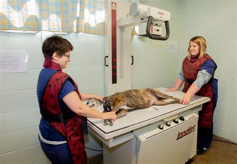 South Windsor Veterinary Clinic Gallery Vet Clinic In South Windsor
