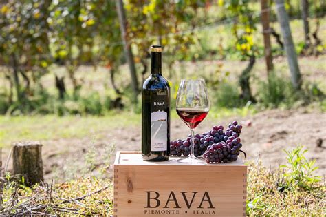 cantine bava popular wine tasting    piedmont winetourismcom