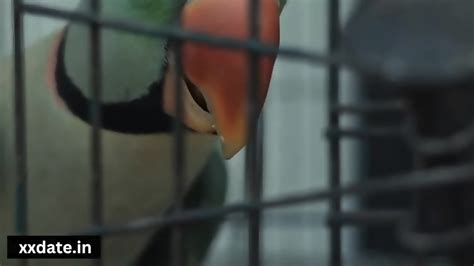 DEVER BHABHI ROMANCE AND SEX VIDEO VIRAL PART Yorgelis Carrillo