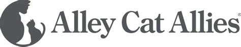 community cat care search alley cat allies