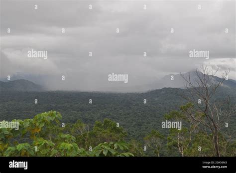 cockscomb basin wildlife sanctuary  belize stock photo alamy