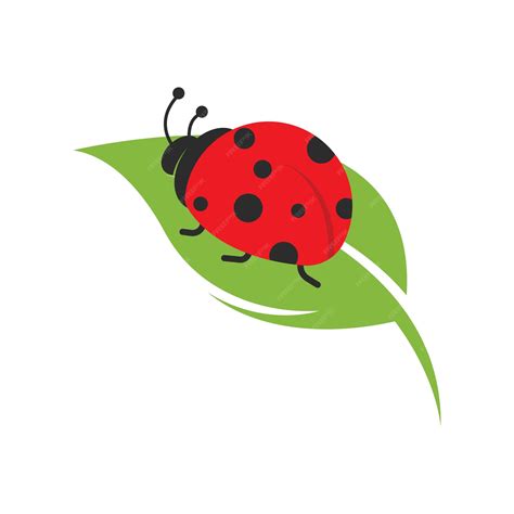 Premium Vector | Ladybug vector Ladybug on white background wallpaper