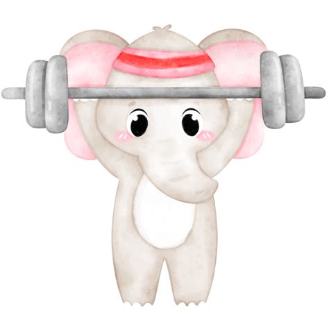 funny animal exercise gif 7