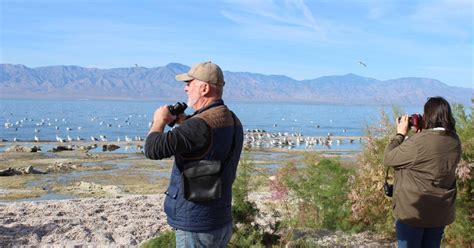 Bird Enthusiasts Flock To Salton Sea Bird Festival After Year Of Hiatus