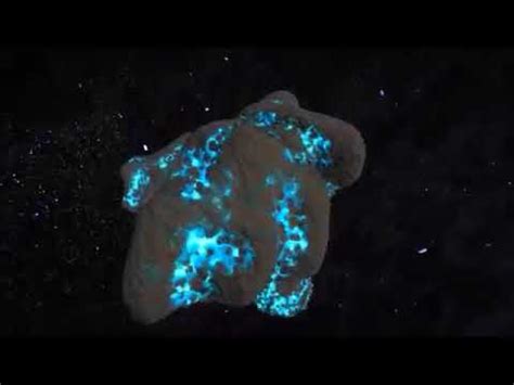 Монах на краю Земли - YouTube