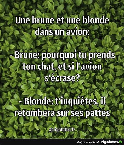 Une Brune Et Une Blonde Dans Un Avion Blagues Et Les Meilleures Images Dr Les