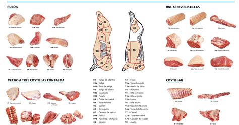 Cortes O Partes De La Res