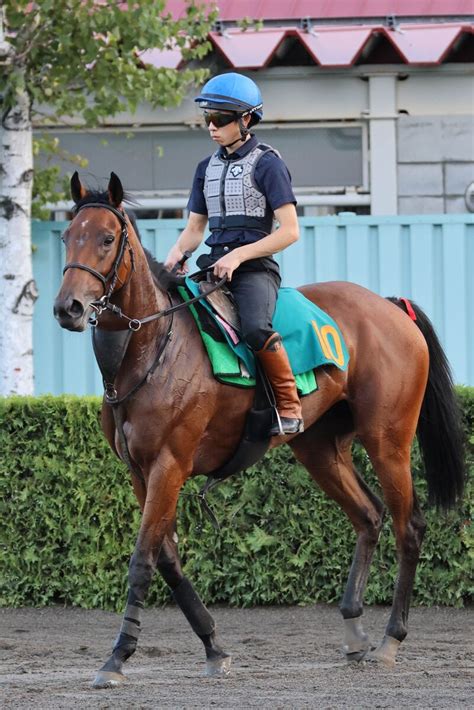 【pog】藤沢和厩舎のバスマティが来週デビューへ 団野大成騎手「短い距離で走ってきそう」 Umatoku 馬トク