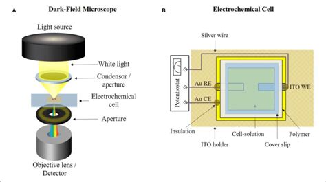 A Principle Setup Of A Dark Field Microscope B Designed