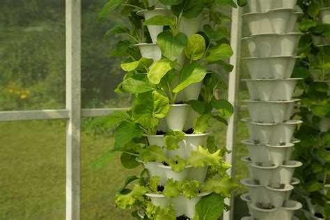 Building A Budget Friendly Hydroponic System Hydroponics Harmony