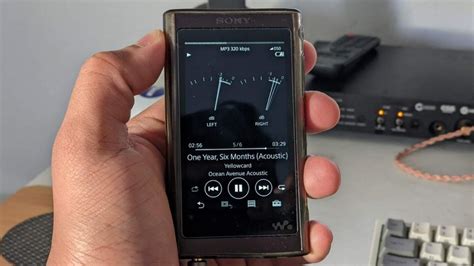 Review Sony Nw A55 Walkman The Rebirth | techcult