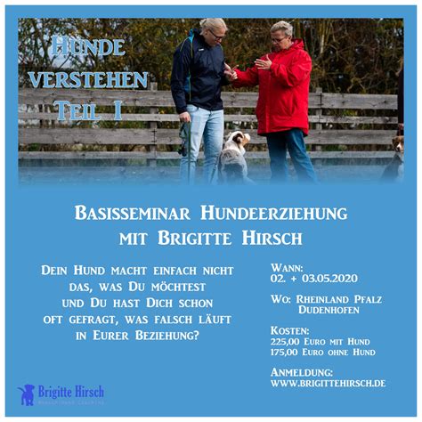 Hunde Verstehen Hundesprache Und Verhalten Lernen 1