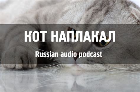 Кот наплакал - Learn Russian with audio podcast