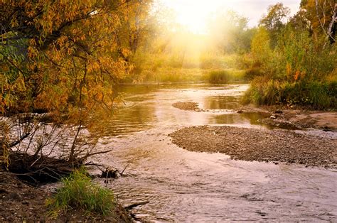 autumn background  stock photo public domain pictures
