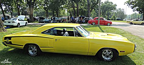 Yellow Super Bee David Beasley Flickr