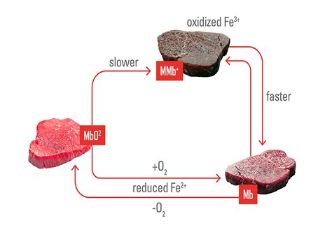 The Colour Of Meat Kemin Food Technologies Blog Kemin Africa