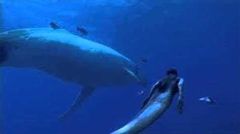 REAL MERMAID CAPTURED ON CAMERA 2014!? MERMAID EVIDENCE/PROOF - YouTube