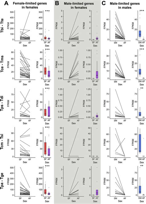 Sex Biased Gene Expression Is Repeatedly Masculinized In Asexual Females BioRxiv