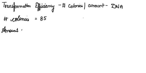 SOLVED Calculate The Transformation Efficiency You Performed A