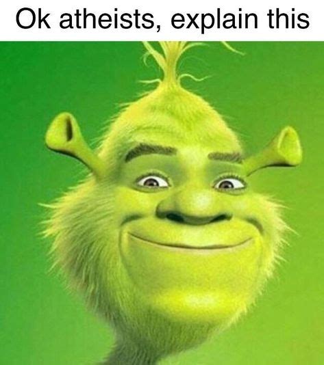 Best Shrek Funny Images Shrek Shrek Memes Funny