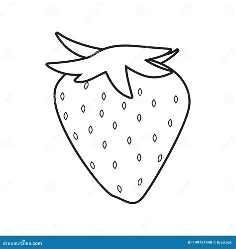 Strawberry Outline Sketch On White Background Stock Illustration