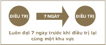 Quy trình triệt lông bikini tại nhà bằng máy triệt lông công nghệ IPL Vatico