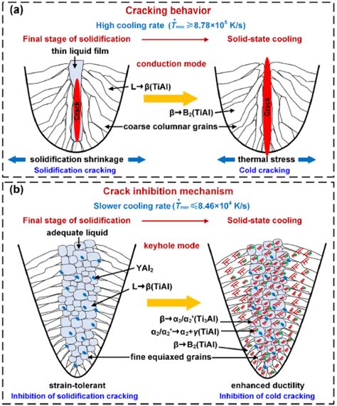 Schematic Diagram Showing The Crack Behavior Inside The Melt Pool Of