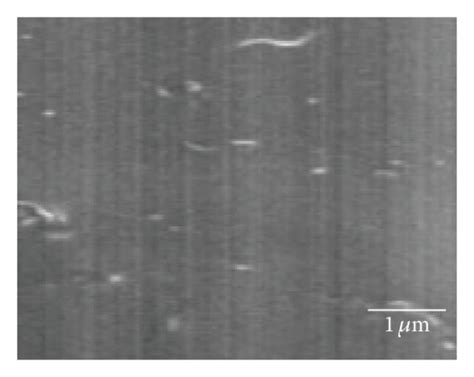 High resolution cross-sectional scanning electron micrographs of ...