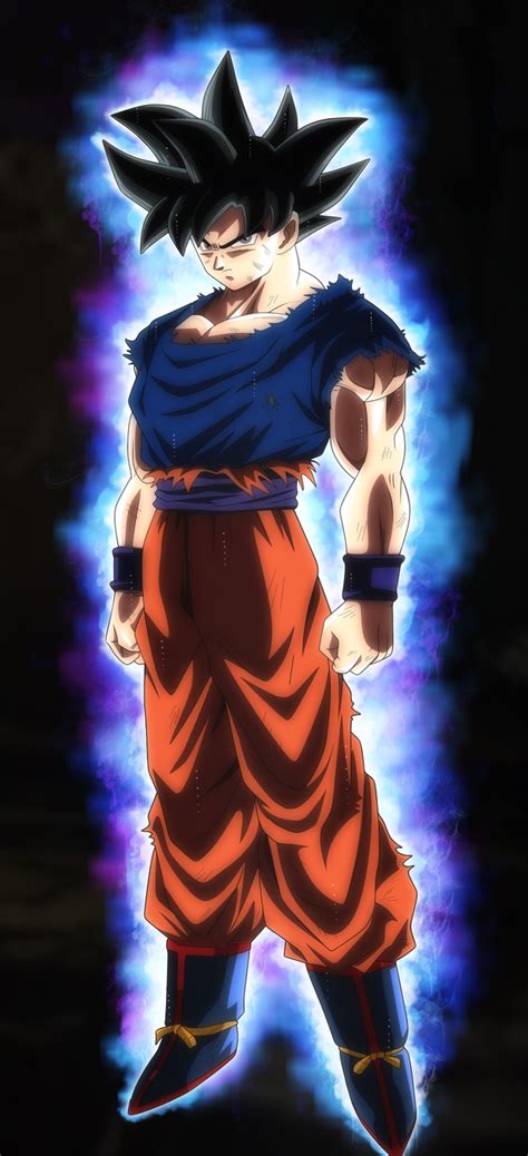 604x1323px Goku Ultra Instinct Wallpapers Wallpapersafari