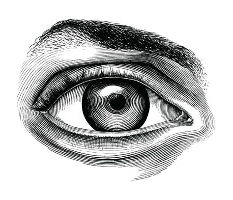 5200 Pupil Eye Stock Illustrations Royalty Free Vector Graphics