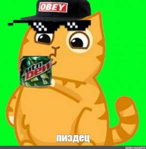 Создать мем "стикер кот лайк, стикеры вк кот, скачать стикеры персик ...