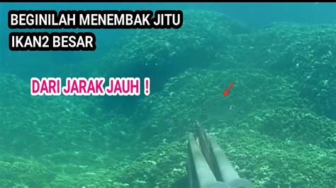 Spearfishing Indonesia Menembak Memanah Ikan Tembakan Jitu Pada Ikan