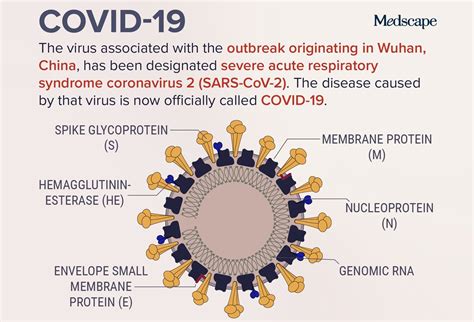 COVID 19 Infographics