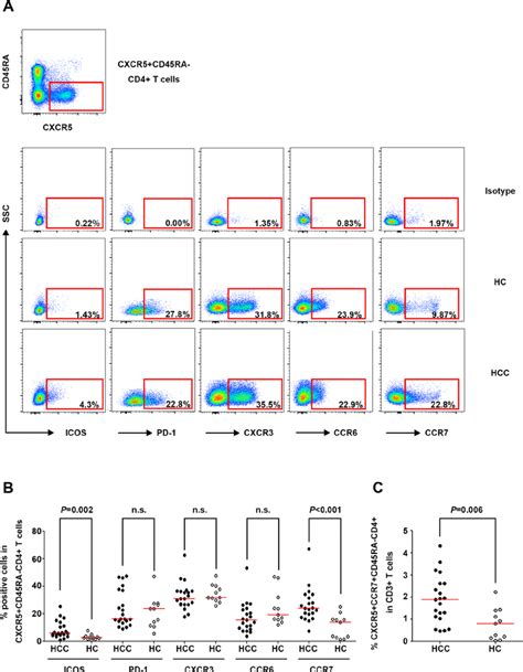 Phenotypic Marker Expression On Circulating Cxcr Cd Ra Cd T