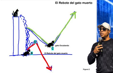 El Rebote Del Gato Muerto Sesiones De Tablero Con Oliver