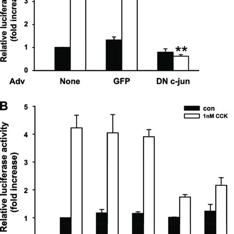 Inhibition Of AP 1 Luciferase Activity By Dominant Negative C Jun And