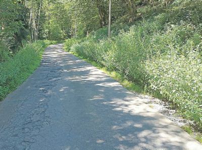 Verärgert über Straßensperrung Rheingau Echo