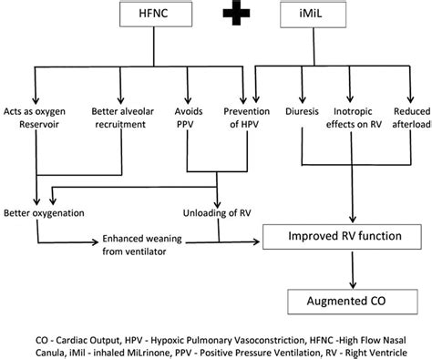 The Complementary Action Of Inhaled Milrinone Via High Frequency Nasal