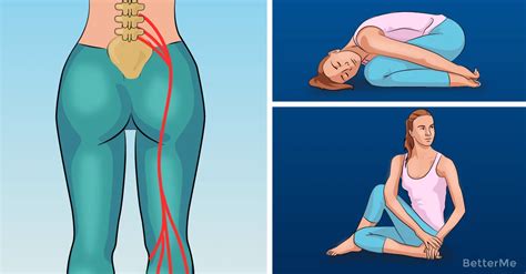 Sciatic Nerve Is The Largest Nerve In Your Body That Rises From