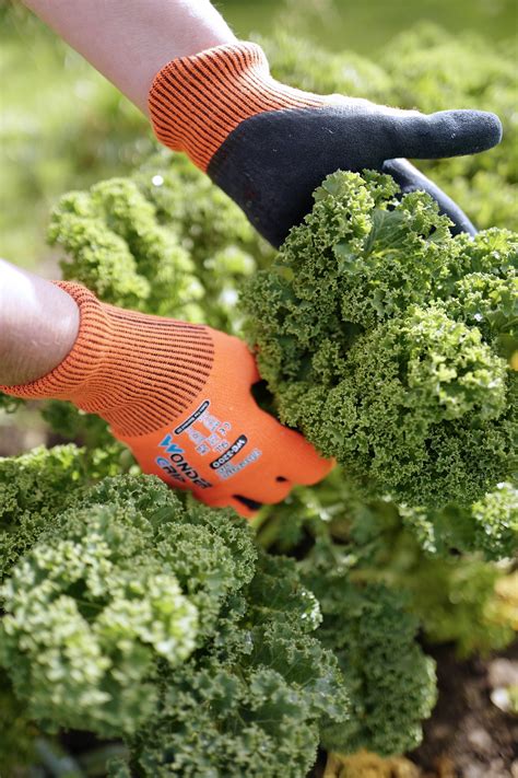 Thermal Gardening Gloves – The Glove Specialists