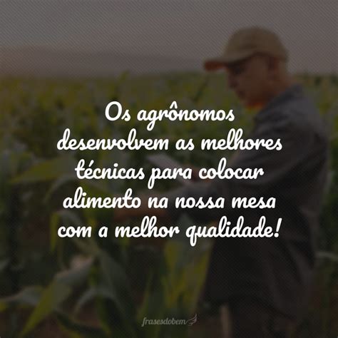 Frases De Agronomia Que Mostram A Import Ncia Dessa Profiss O