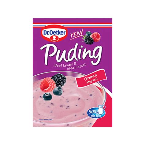 Dr Oetker Orman Meyveli Puding